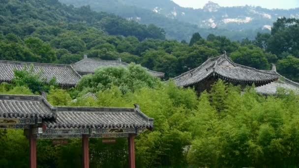 China arquitectura antigua en el bosque de bambú . — Vídeos de Stock