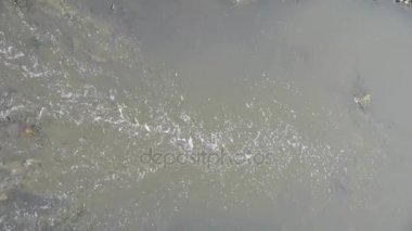 vahşi nehirler, kum ve çakıl plajları