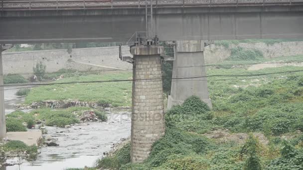 Ρύπανση ποταμών, στη πλευρά του οδική γέφυρα. — Αρχείο Βίντεο