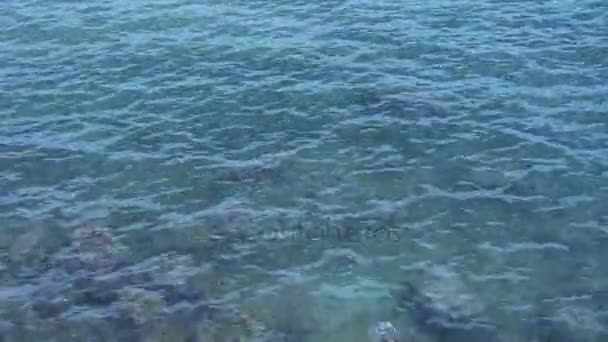 Surface.transparent sualtı resif su ripples. — Stok video