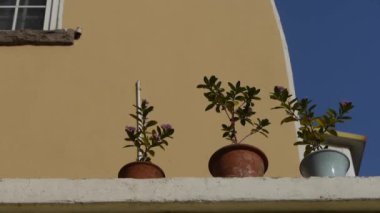 Tencere rüzgarda sallayarak balkonda çiçek ve sky.looking açı kadar mavi.