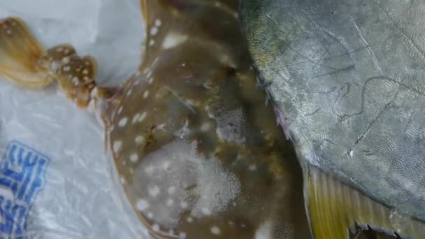 Köstliche Croaker Pomfret Fisch & Krabben, innerhalb der Dial-Platte.Fischerei Eis gefroren. — Stockvideo