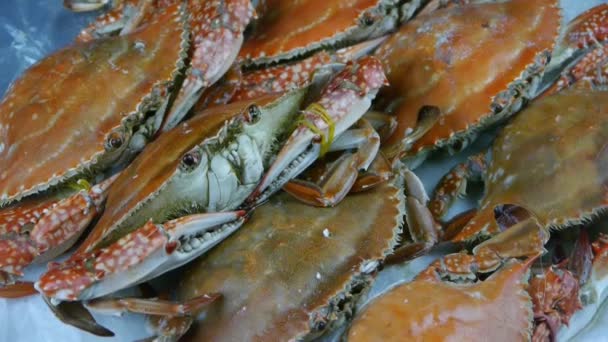 Délicieux crabe dans le cadran Plat.fisheries glace congelée.