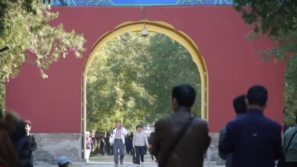China-Oct 08,2017:People walk in cypress trees park,China Beijing red door ancient buildings. — Stock Video
