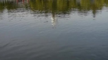 Çin Pekin antik mimarisi Beihai Park beyaz kulesi suya yansıdı.