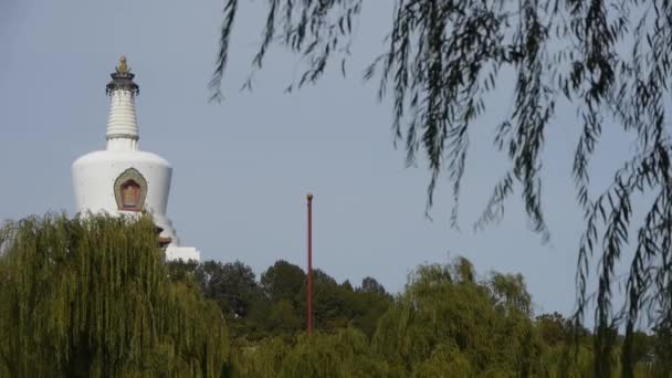 BeiJing BeiHai Park White Tower & Tibetan Buddhism.willow branches in breeze wind — Vídeo de stock