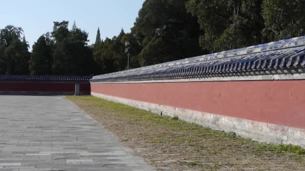 China pared roja y pino, arquitectura antigua real. — Vídeo de stock