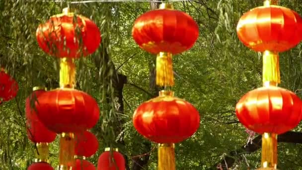 Красные фонари и ивы, раскачивающиеся на ветру, элементы Востока, пекинская наноаллея . — стоковое видео