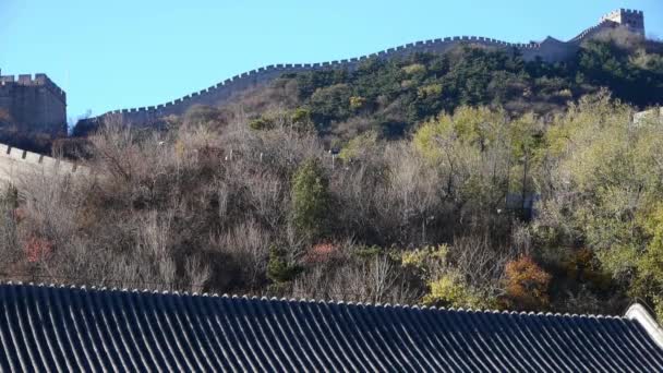 Gran Muralla en la cima de la montaña, China arquitectura antigua, fortaleza en otoño otoño. — Vídeos de Stock