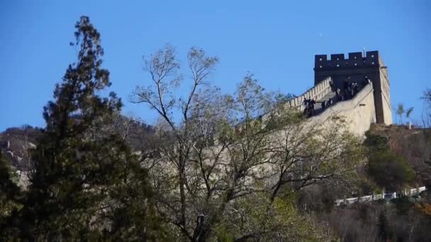 Відвідувач піднімається на Великий мур на вершині гори, стародавню китайську архітектуру, форти. — стокове відео