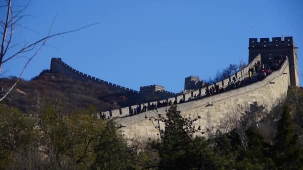 訪問者は、中国の古代建築、山のピーク時に万里の長城を登る要塞 — ストック動画