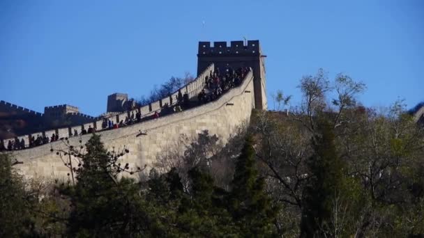 Visitante escalada Grande Muralha no pico da montanha, China arquitetura antiga, fortalezas — Vídeo de Stock