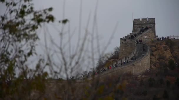 Visitante escalada Grande Muralha no pico da montanha, China arquitetura antiga, fortalezas — Vídeo de Stock