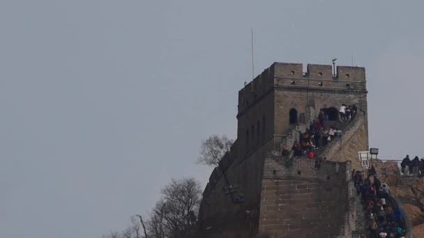 Visitante escalada Grande Muralha no pico da montanha, China arquitetura antiga, fortalezas — Vídeo de Stock