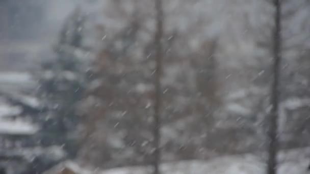 Jatuh kepingan salju, salju menutupi rumah & hutan . — Stok Video