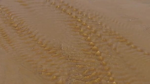 Vatten som rinner över sand på stranden. — Stockvideo