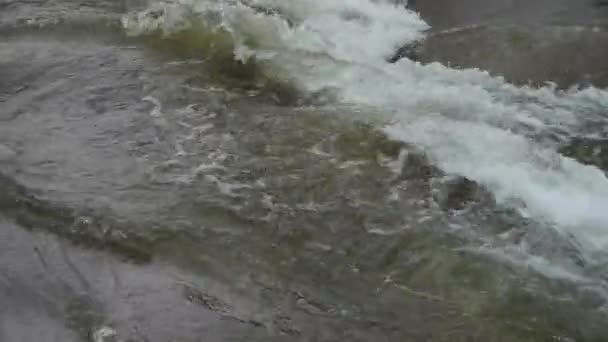 Wloty strumienia rzeki rapids na głazy. — Wideo stockowe