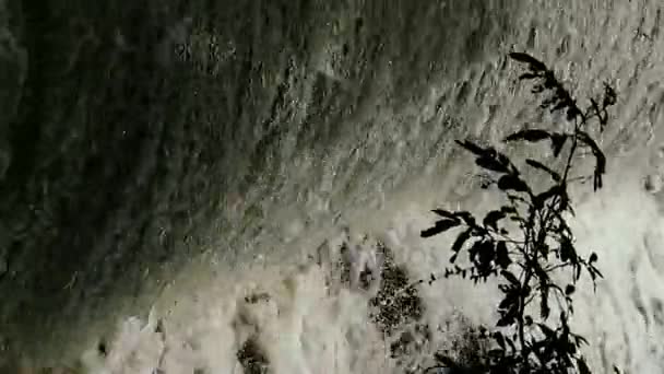 Descarga Inundação Torrencial Cachoeira Execução — Vídeo de Stock