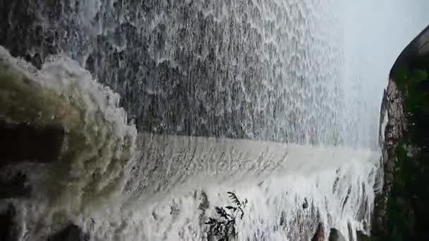 Lucutan banjir, air terjun torrential berjalan . — Stok Video