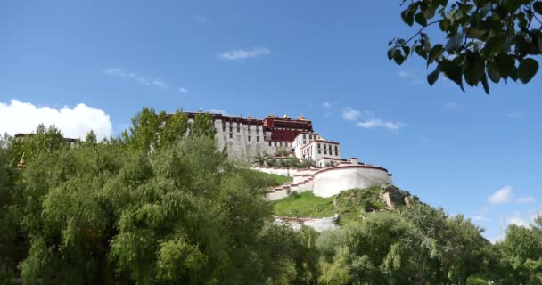 4k Potala met wilg in Lhasa, Tibet. — Stockvideo