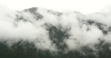 sabah sis çam ağaçları, Bomi İlçesi Tibet'te yükselen 4 k dağ sis.