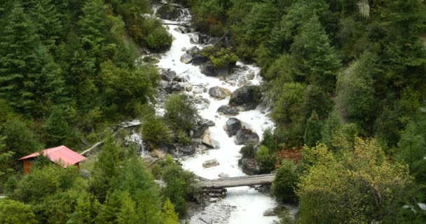 4k Waterfall flowing in the valley,Green conifers,Bomi County,tibet. — Stock Video