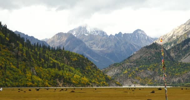 4k vlajka ve větru na prérii, mraky hmotnost převrácení sněhu hory v Tibetu — Stock video