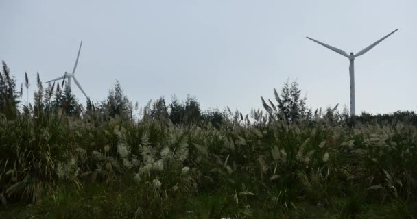 4k platteland Windmolen, Windturbines, schone en hernieuwbare energie. — Stockvideo