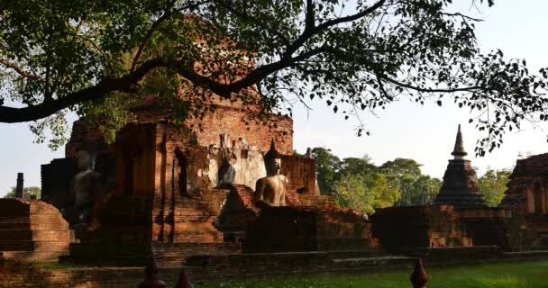 Sedící Buddha v chrámu Wat Si Chum v Sukhothai historického parku, Thajsko. — Stock video