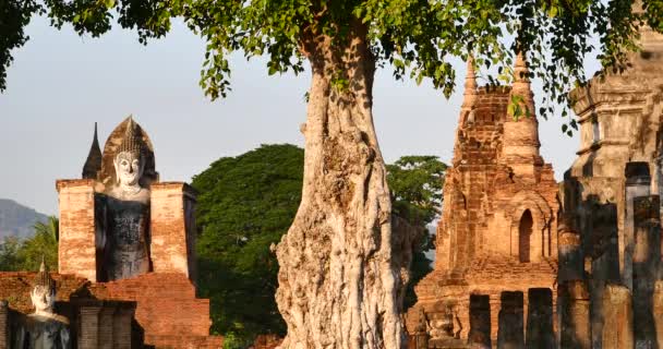 Sedící Buddha v chrámu Wat Si Chum v Sukhothai historického parku, Thajsko. — Stock video