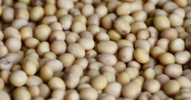 4 k soya fasulye closeup, tohum gıda ham madde, lezzetli yemekler tohum fasulye.