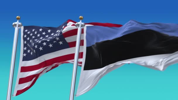 4k United States of America USA and Estonia National flag in sky background. — Stock Video