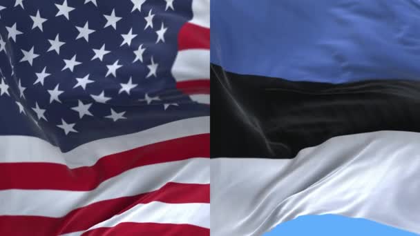 4k vereinigte staaten von amerika usa und estland nationalflagge hintergrund. — Stockvideo