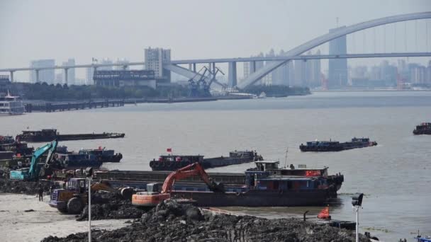 Escavadeira trabalhando & caminhão basculante no local de construção, cais de shanghai & transporte . — Vídeo de Stock