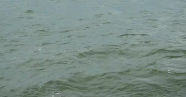 4k vidéo, mer océan vague .