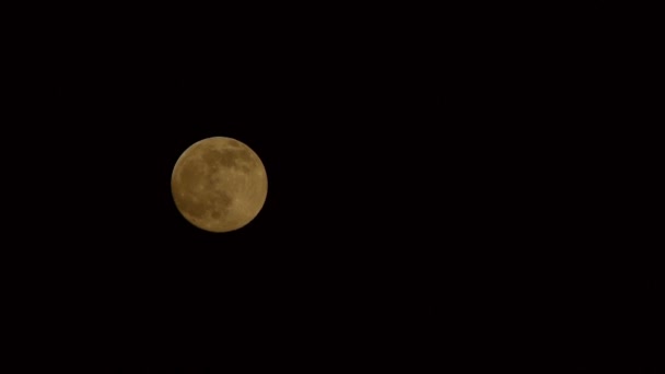 Luna llena en movimiento, lapso de tiempo con zoom — Vídeos de Stock