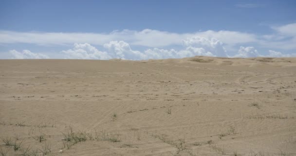 4k grande masse nuageuse bouffie blanche roulant sur les dunes de sable du désert . — Video