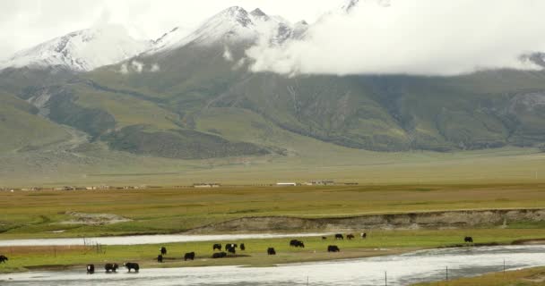 4k masa de nubes rodando sobre la montaña del Tíbet, río que fluye la pradera — Vídeos de Stock