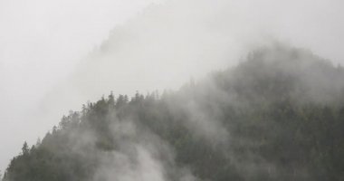 4 k timelapse dağ sis sabah yükselen sis ağaçlar, Bomi İlçesi, tibet.