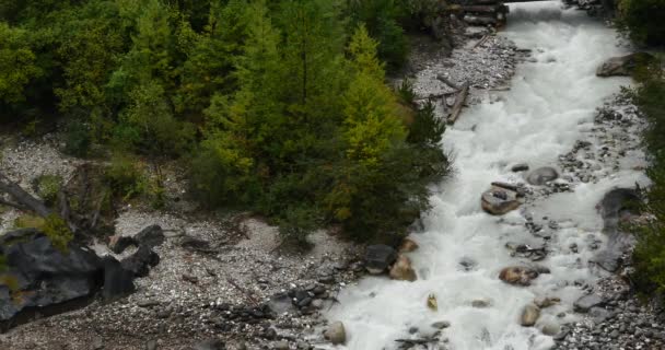 4k Cascada que fluye en el valle, coníferas verdes, Condado de Bomi, Tíbet . — Vídeos de Stock