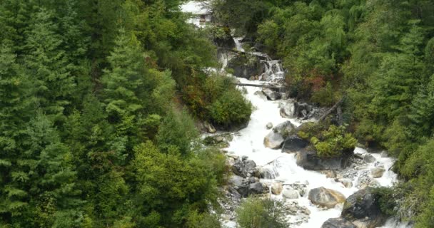 4k Wasserfall im Tal, grüne Nadelbäume, Bomi County, Tibet. — Stockvideo