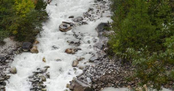 4k Cascada que fluye en el valle, coníferas verdes, Condado de Bomi, Tíbet . — Vídeo de stock