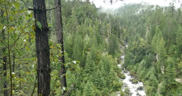 4 k 滝の流れる谷の緑の針葉樹、Bomi 郡、チベット. — ストック動画