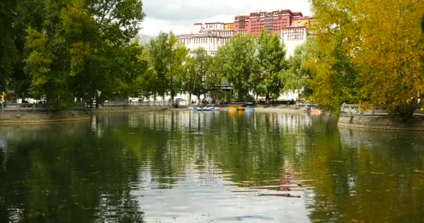 4 к Потала роздуми про озеро в Лхасі park,Tibet.lake з дерева восени. — стокове відео