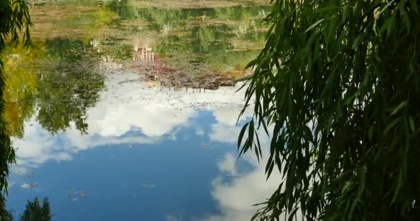 4k Potala réflexion sur le lac dans le parc de Lhassa, Tibet.lake avec saule . — Video