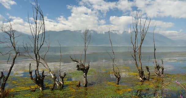 4k verdord in water, overdenkt berg & wolk lake, erhai Dali, china. — Stockvideo