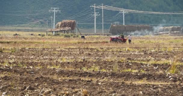 4k tibetano pueblo uso granja tractor tierra cultivable en shangrila yunnan, china . — Vídeos de Stock
