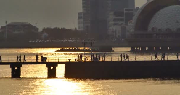 4k modern urban building skyline and coastline at sunset,Qingdao. — Stock videók