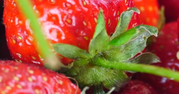 4k Rotation von köstlichen Erdbeeren. — Stockvideo