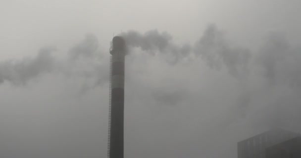 4k asap billow dari industri cerobong asap, pipa pembangkit energi dengan asap . — Stok Video
